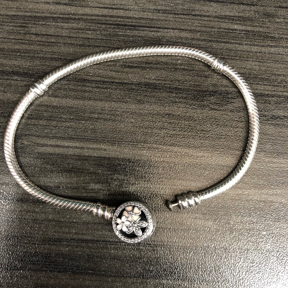 Pandora bracelet